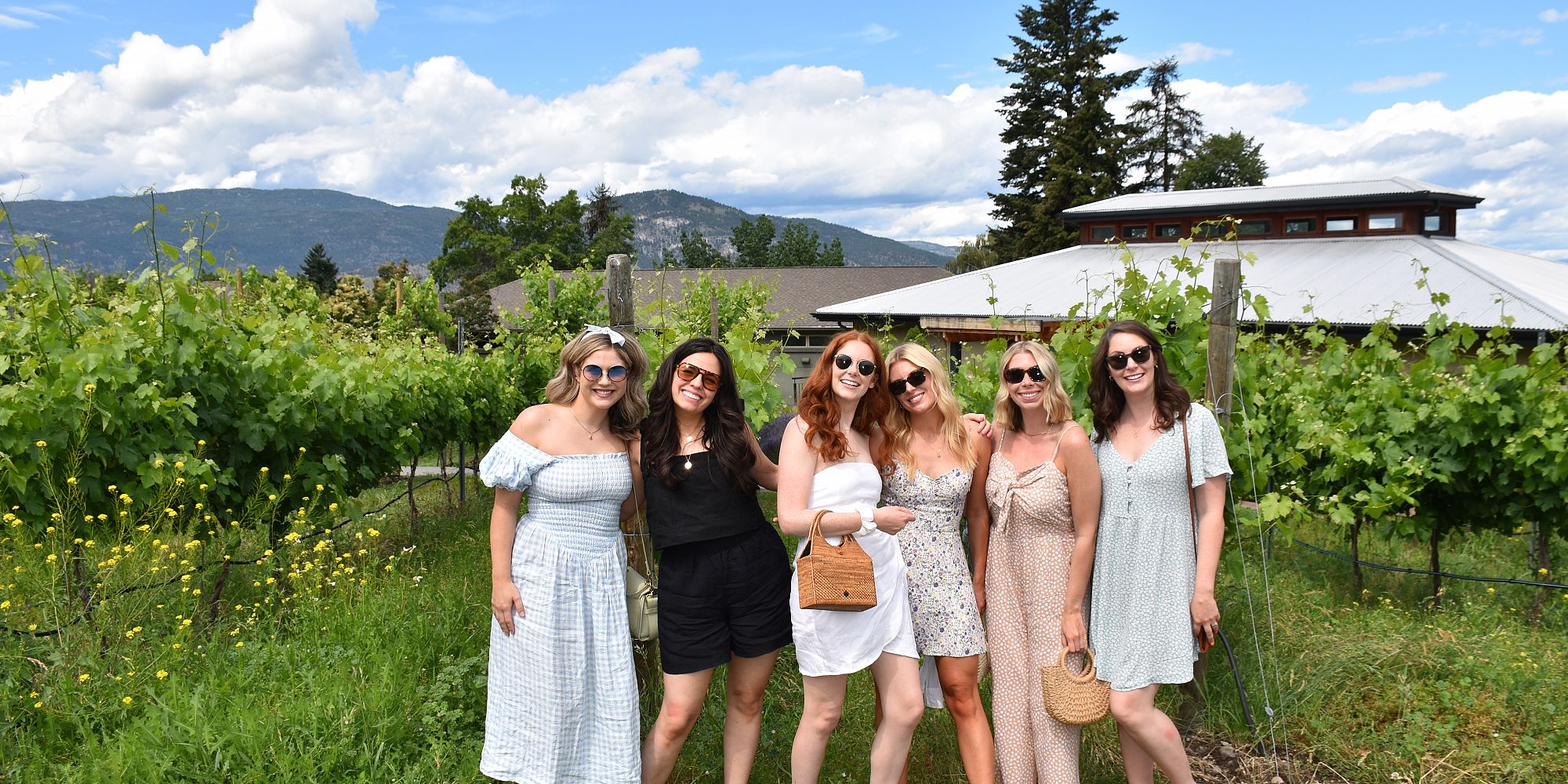 Six Ladies In Sundresses Standing In Front Of The Vineyard At La Frenz Winery  