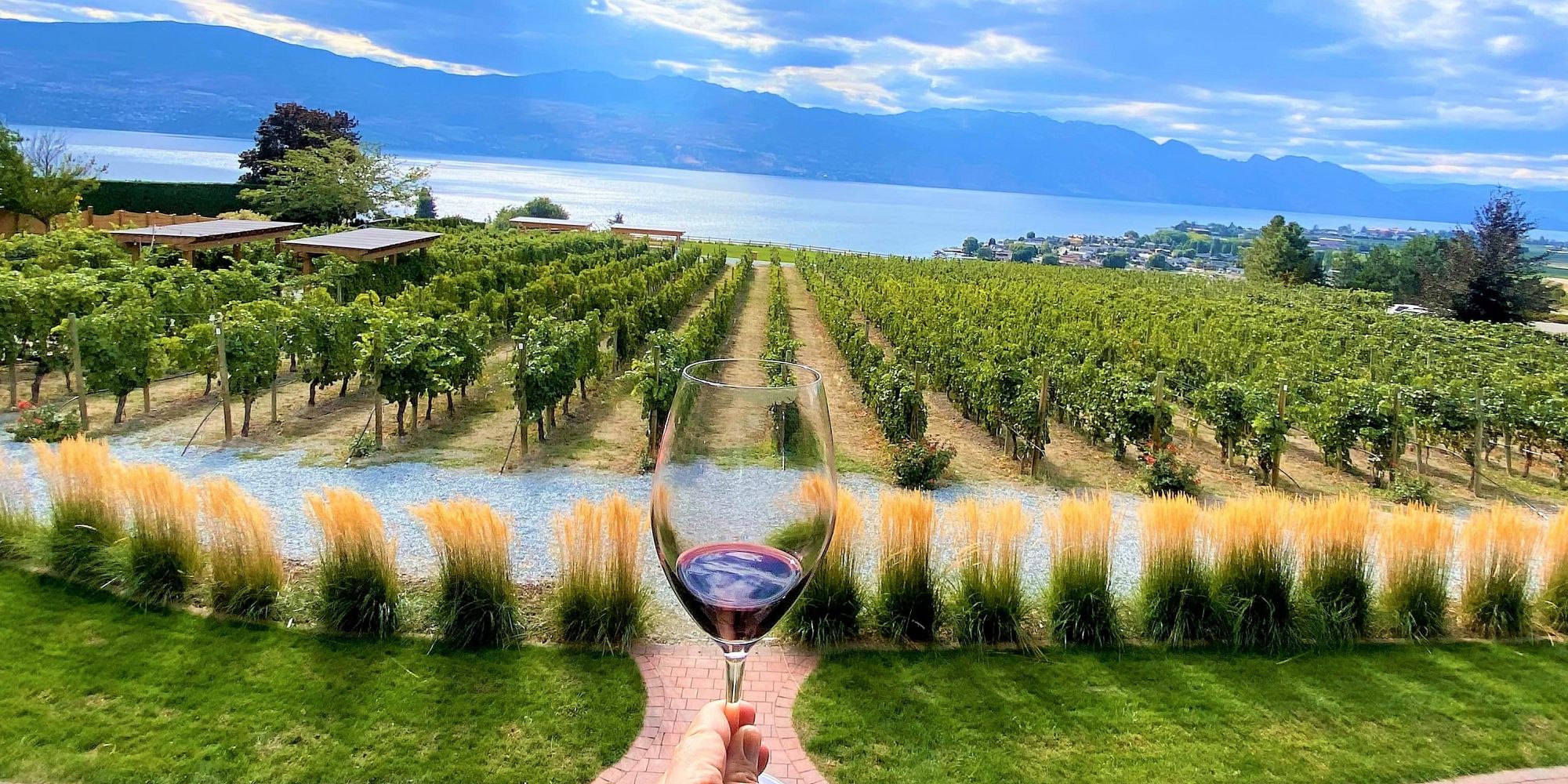 Glass of Pinot Noir Wine Overlooking the Vineyard at Quails Gate Estate Winery