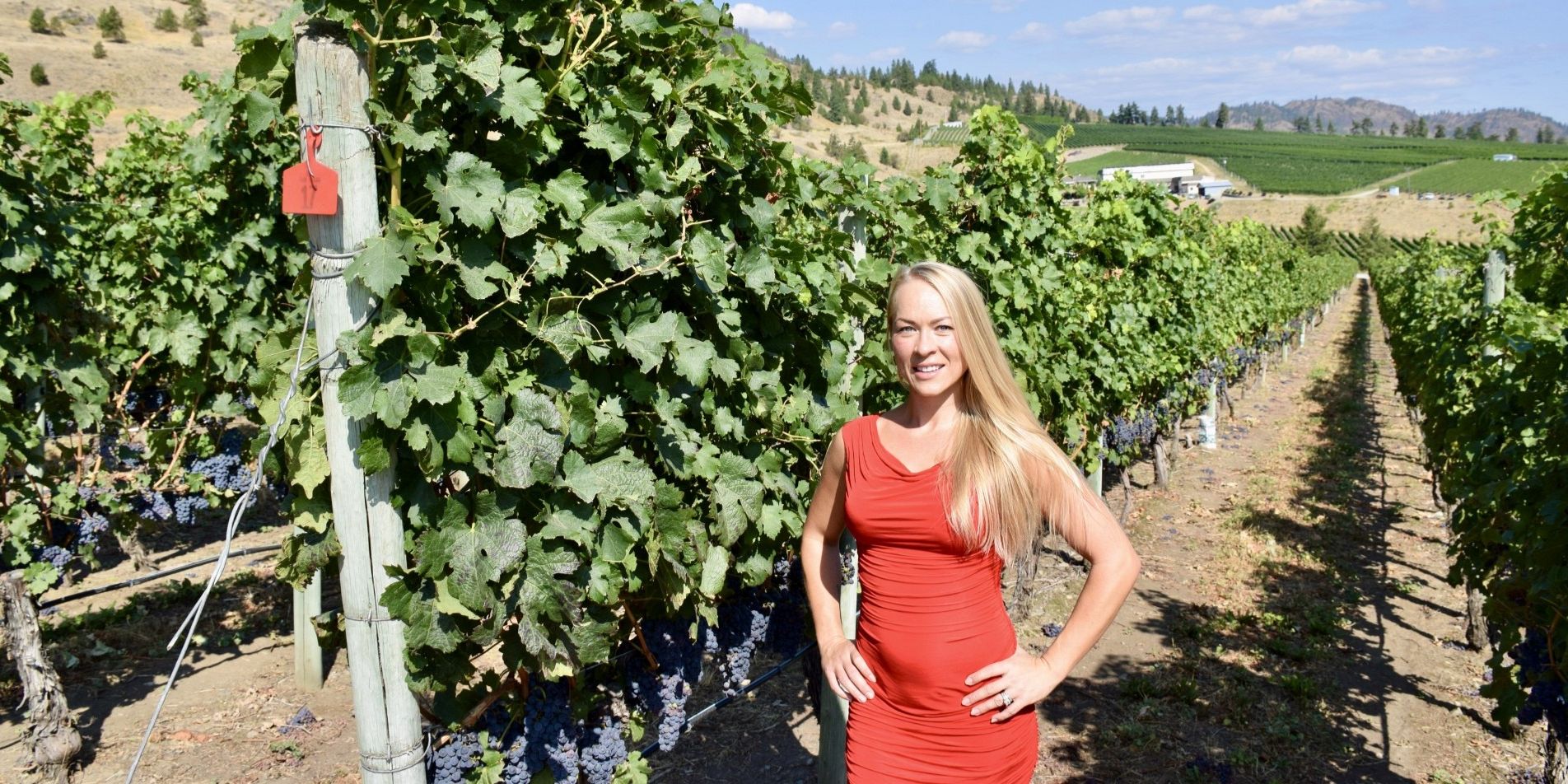 Vineyard Tour at Hester Creek Estate Winery with Lust 4 Luxury Wine Tours