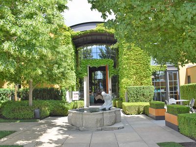 Vines Surrounding the Wineshop at Mission Hill Estate Winery 
