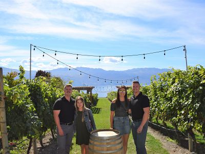 Grape Vineyard at Quails Gate Estate Winery 
