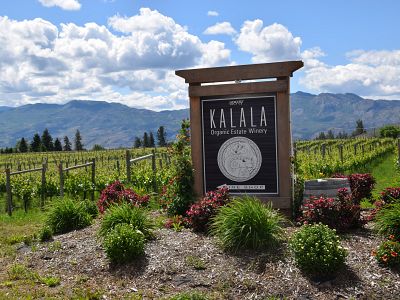 Entrance to Kalala Organic Estate Winery 