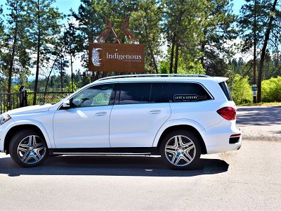 Lust4Luxury Tours Mercedes Benz SUV at Indigenous World Wines 