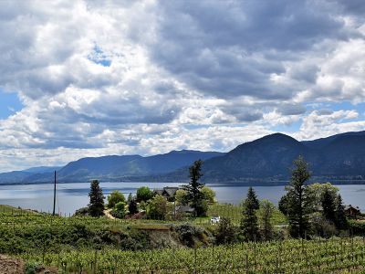 Lake Views at Deep Roots Winery 