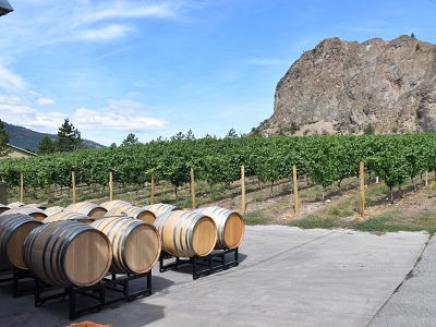 Estate Vineyard at Meyer Family Vineyards 