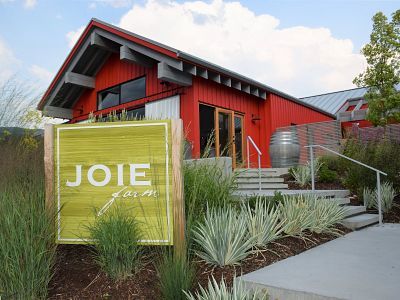 Summer at JoieFarm Winery 