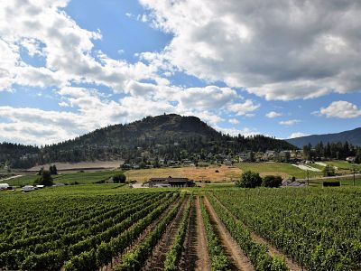 Dormant Volcano at Mt. Boucherie Estate Winery 