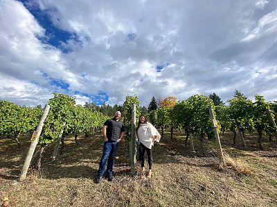 Estate Vineyard at Gray Monk Estate Winery 