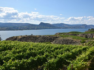 Vineyard and Lake Views at Marichel Winery 