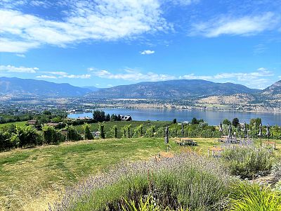 Lake and Vineyard Views at Poplar Grove Estate Winery 