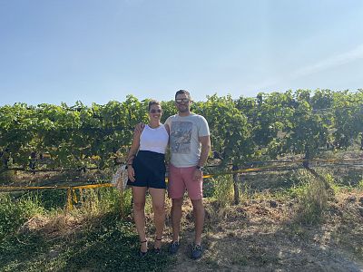 Vineyard at Rollingdale Winery 