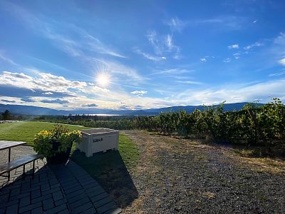 Sunshine and Vineyard Views at Kitsch Wines 