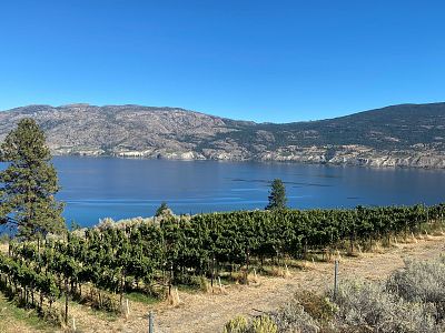 Vineyard and Lake Views at Sage Hills Estate Winery & Vineyards