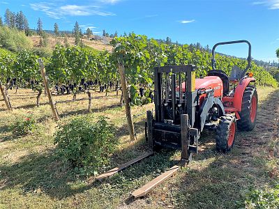 Estate Vineyard and Tractor at Nichol Vineyard 