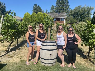 Vineyard at The Hatch Wines 