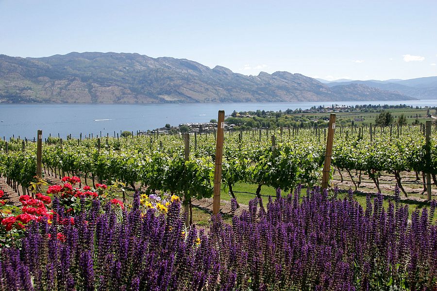 wine tours okanagan valley