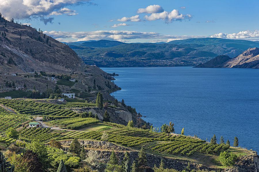 wine tours okanagan