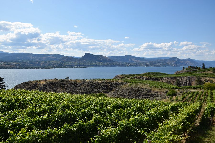 <strong>Penticton & Naramata</strong> Wine Tour