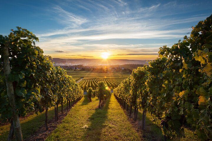 okanagan valley wine tour packages