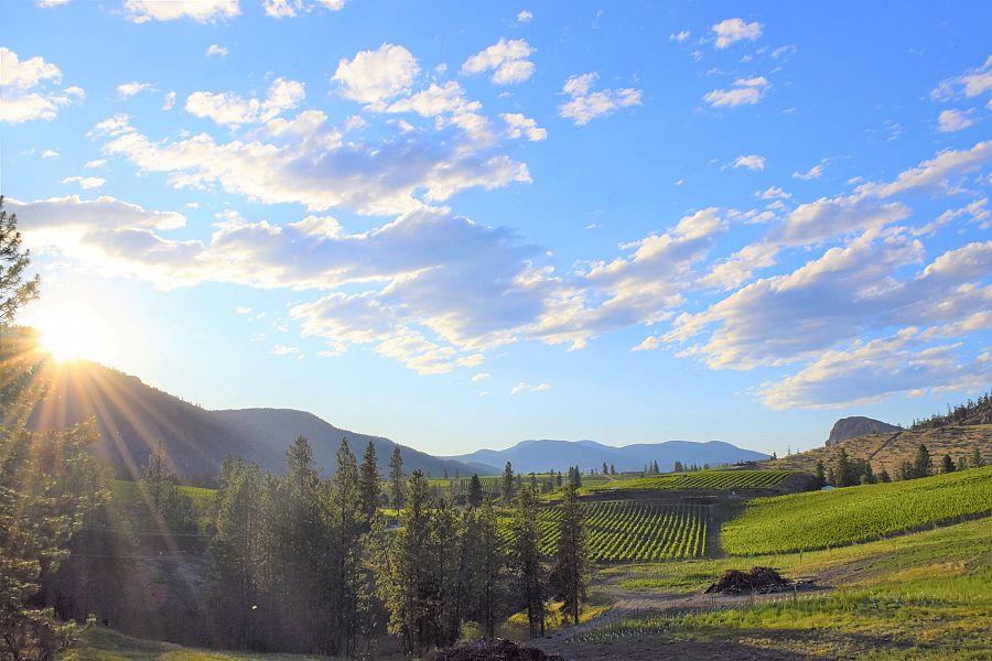 <strong>Okanagan Falls </strong> Wine Tour