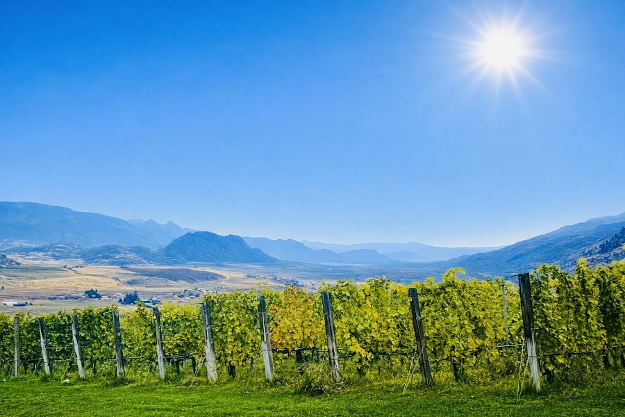 <strong>Oliver & Osoyoos</strong>  Wine Tour